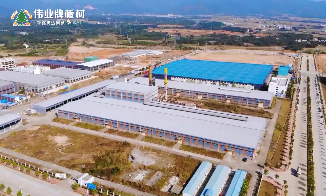 12月 設立偉業(yè)牌板材韶關分公司.jpg